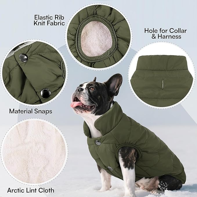 ASENKU Windproof Dog Winter Coat Waterproof Fleece Jacket Cold Weather Pet Apparel for Small Medium Large Dogs (ArmyGreen, XL)