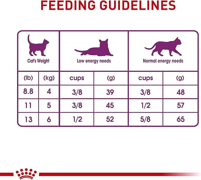 Royal Canin Feline Health Nutrition Sensitive Digestion Adult Dry Cat Food, 3.5 lb Bag