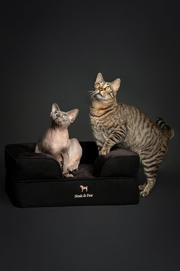 NOAH & PAW Small Dog Bed, 20x15x8 Inch, Cat Bed for Indoor Cats, Orthopedic Eggshell Memory Foam Infused with Cooling Gel, Waterproof Inner Cover Machine Washable (Denim Collection)