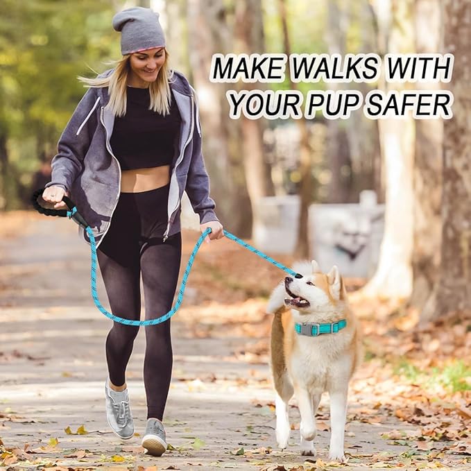 BARKBAY Dog Leashes for Large Dogs Heavy Duty Dog Leash 2 Pack 5 FT with Comfortable Padded Handle Highly Reflective Threads for Medium Large Dogs Walking Training Running (5FT-1/2,Blue+Black)