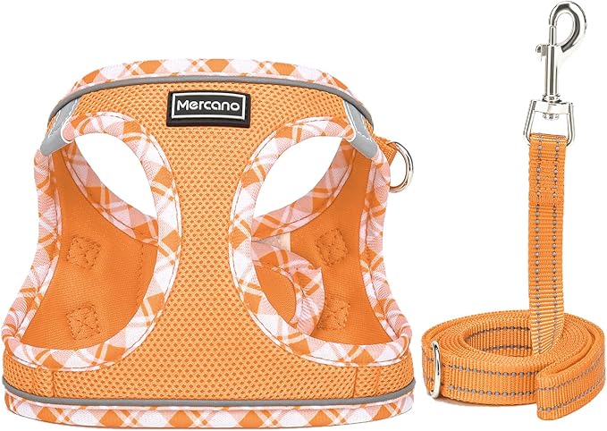 Mercano Soft Mesh Dog Harness and Leash Set, No-Chock Step-in Reflective Breathable Lightweight Easy Walk Vest Harnesses with Safety Buckle for Small Dogs, Cats (Orange, XS)