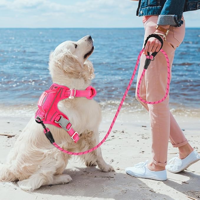 BARKBAY No Pull Dog Harness 3 Buckles Large Reflective Dog Harness with Front Clip and Easy Control Handle for Walking Training Running with ID tag Pocket(Pink,L)