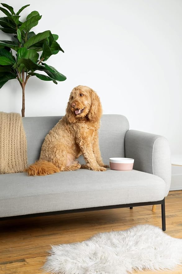 Waggo Dipper Ceramic Dog Bowl for Small and Large Breeds - Heavyweight and Durable Pet Food and Water Dish Crock, Dishwasher Safe, Modern (Mauve, Small)