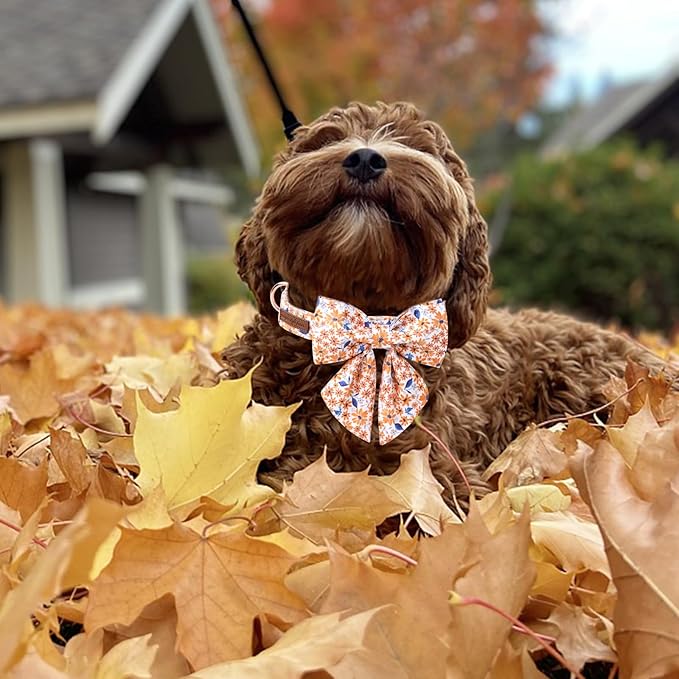 Unique Style Paws Autumn Leaf Collar with Bowtie Blue Leaf Flower Cotton Dog Collars for Small Medium Large Dogs