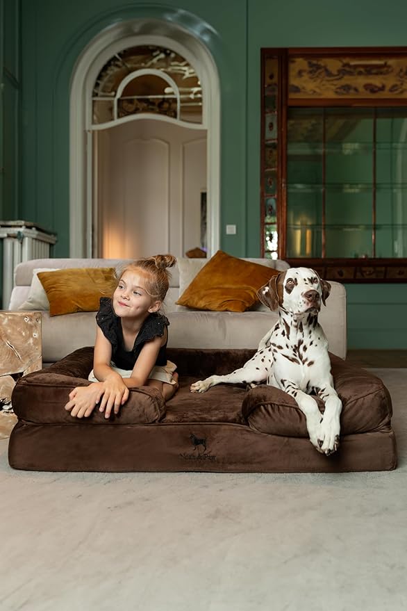 NOAH & PAW XL Dog Bed, 45x35x11 Inch, Orthopedic Large Dog Beds, Eggshell Memory Foam Infused with Cooling Gel, Inner Cover, Waterproof, Machine Washable (Velvet Sofa Collection)