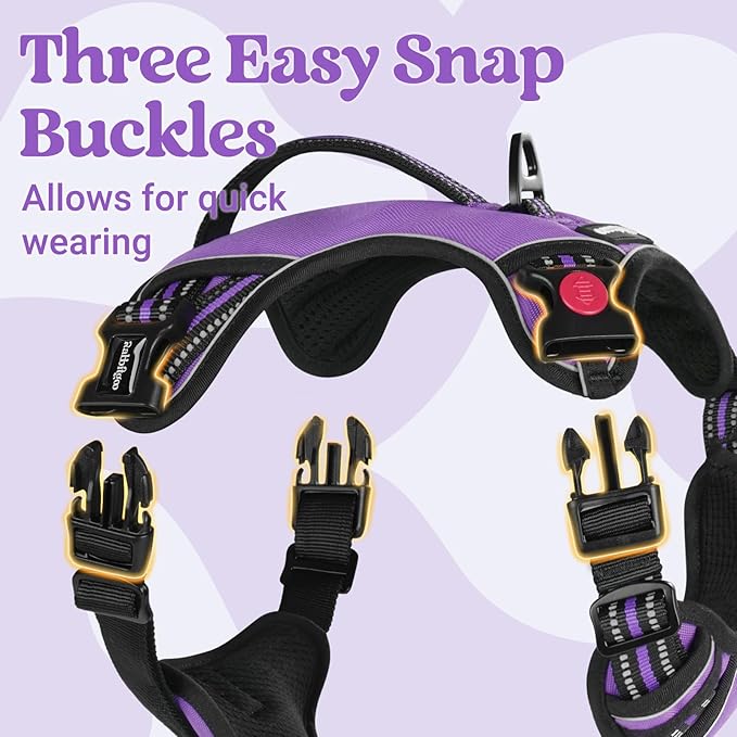 rabbitgoo Dog Harness for Large Dogs, No Pull Pet Harness with Soft Padded Handle, Adjustable Reflective Vest with 3 Buckles, Easy Walking Harness with 2 Leash Clips, Purple, M