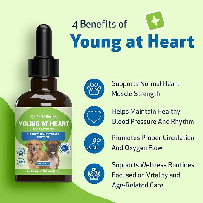 Pet Wellbeing Young at Heart for Dogs - Heart Health, Circulatory & Cardiovascular System, Hawthorn, Motherwort, Schisandra - Veterinarian-Formulated Herbal Supplement 2 fl oz (59 ml)