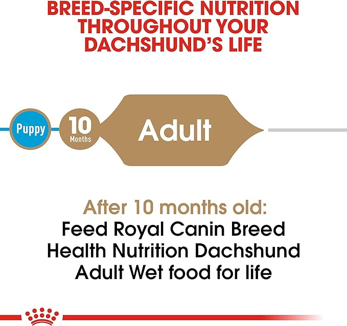Royal Canin Breed Health Nutrition Dachshund Adult Loaf in Sauce Dog Food, 3 oz (Pack of 6)
