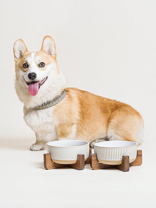 LE TAUCI PET Ceramic Dog Bowls for Medium Small Dogs - 4 Cup Medium Dog Food and Water Bowls with Wood Stand, Cute Pet Dishes Set of 2, Lines+Dot