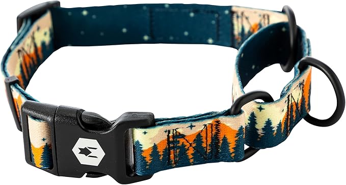 Wolfgang Heavy Duty Martingale Dog Collar with Quick Release Nylon Buckle for Walking & Training, Overland Print, Medium