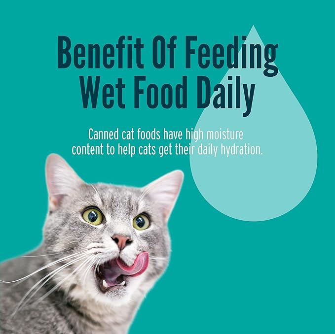 A Strong Heart Canned Wet Cat Food, Shreds with Ocean Whitefish & Tuna - 5.5 oz Cans (Pack of 24), Made in The USA with Real Ocean Whitefish & Tuna