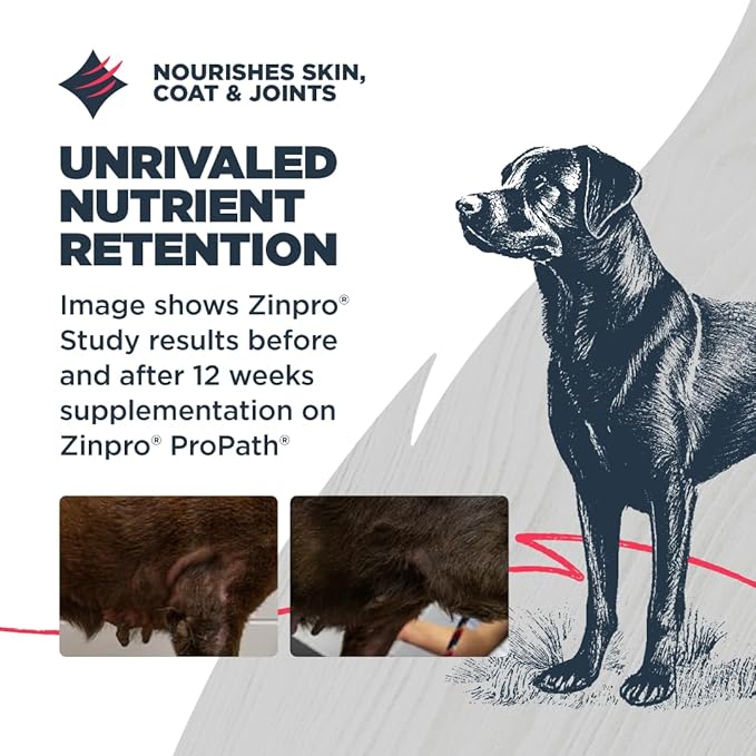 Blackwood Grain Free Dry Dog Food, Salmon & Field Pea Recipe, 24 Pound Bag for All Life Stages, Slow Cooked with Vitamins & Minerals for a Balanced Diet