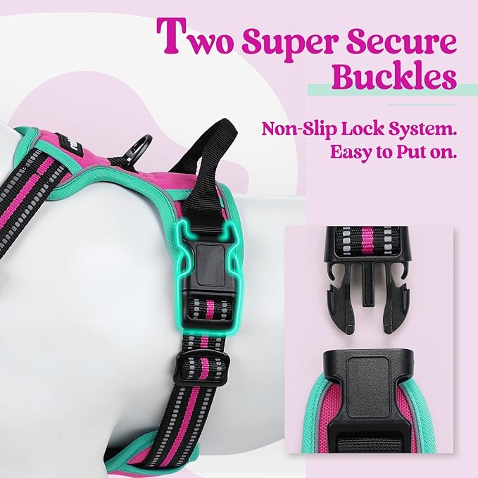 rabbitgoo Dog Harness No Pull with 2 Leash Clips, Adjustable Soft Padded, Reflective Oxford No Choke Pet Vest with Easy Control Handle for Large Dogs, Hot Pink & Turquoise, S