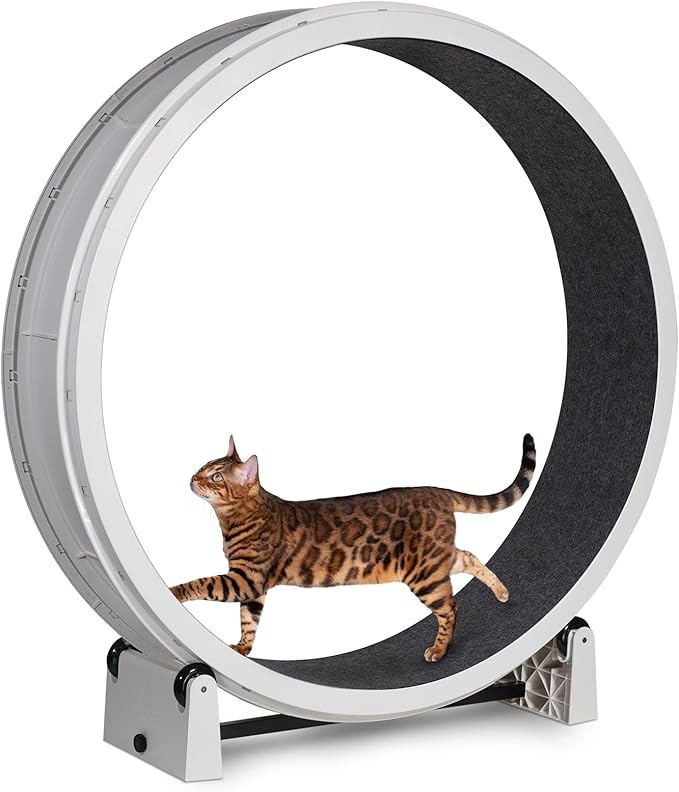 One Fast Cat - Cat Exercise Wheel - Gen. 7 - Safe 48" Diameter - Made in The USA - White Wheel with Black Felt Traction Pads and Light-Up LED Inline Wheels
