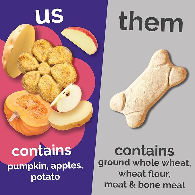 Fruitables Baked Dog Treats, Healthy Pumpkin Treat for Dogs, Low Calorie & Delicious, Free of Wheat, Corn and Soy, Made in The USA, Pumpkin and Apple Flavor, 20oz