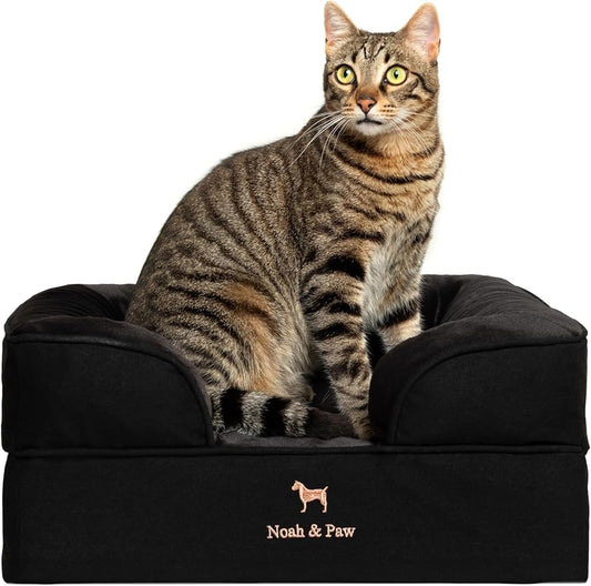 NOAH & PAW Small Dog Bed, 20x15x8 Inch, Cat Bed for Indoor Cats, Orthopedic Eggshell Memory Foam Infused with Cooling Gel, Waterproof Inner Cover Machine Washable (Denim Collection)