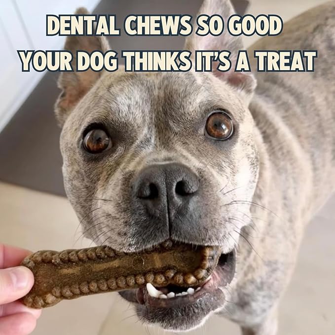 Jiminy's Dental Chews for Dogs, Cinnamon Flavor, Scientifically Proven to Improve Oral Health, Dental Bones Clean Teeth, Fight Bad Breath, and Removes Plaque and Tartar, Medium, 12ct (Pack of 1)