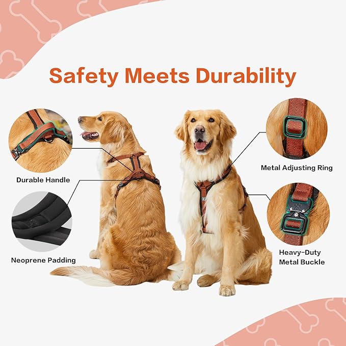 PawsPassion Dog Harness for Small Dogs, No Pull Dog Harness Easy Walk with Metal Hardware, Ergonomic Y-Shaped Design, Soft Padding, Padded Handle, Durable High-Tensile Nylon (Canyon Red, S)