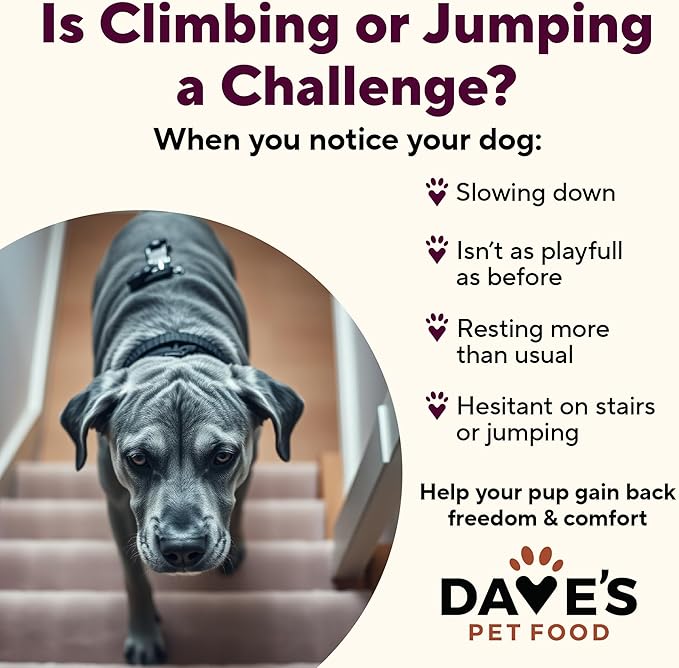 Dave's Pet Food Glucosamine Chondroitin for Dogs, Hip and Joint Support, Gluten-Free, Wet Senior Dog Food, 13.2 oz (Case of 12)