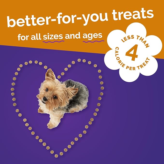 Fruitables Skinny Mini Dog Treats, Healthy Pumpkin Treat for Dogs, Low Calorie & Delicious, Puppy Training, Free of Wheat, Corn and Soy, Made in the USA, Rotisserie Chicken Flavor, 5oz