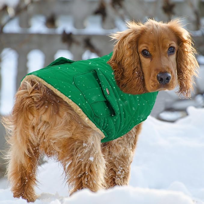 Queenmore Warm Dog Coat, Cold Weather Puffer Dog Coat Vest, Quilting Winter Pet Jacket Ultra Thick Plush Fleece Lining Pet Clothes for Dogs with Storage Pockets (Forest Green, Medium)
