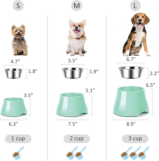 Dog Bowls,Cone Friendly Non Slip Single Dog Bowl with Stainless Steel Inner, Raised Bowls for Smll Dogs Spaniel Dogs Long Ear, High Capacity, M/2 Cup Mint Green