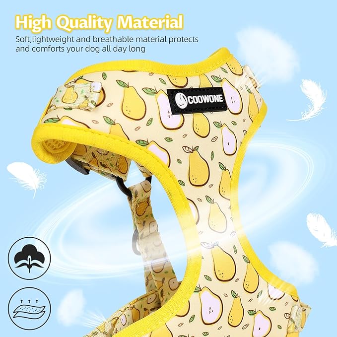 Dog Harness and Leash Set, Adjustable Dog Harness, Dog Leash, No Pull No Choke Puppy Harnesses for Walking Training for Small Medium Pet