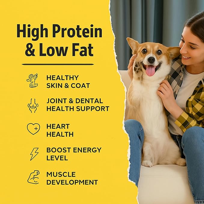 Ruff Town Dog Treats – Human Grade Chicken Breast | Training Treats for Dogs | High Protein, Single Ingredient | Grain-Free, Hypoallergenic & Dehydrated | Suits All Breeds, Made in USA (4 oz)