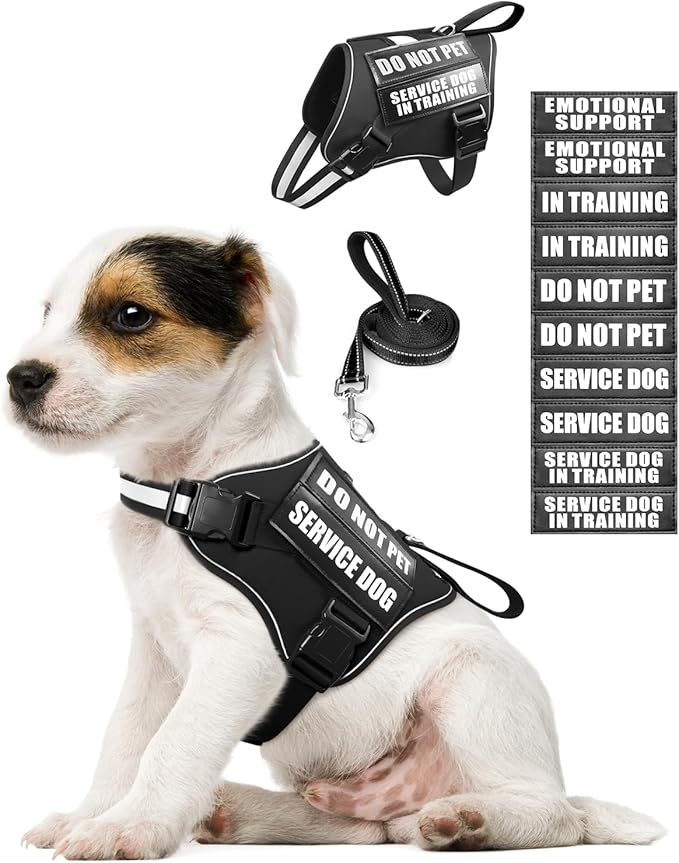 Service Dog Vest Harness and Leash Set+10 Patches for Puppy Small Dogs,Do Not Pet Emotional Support Dog Vest with 2 Soft Padded Handle for Everyday/Training (Black XS)