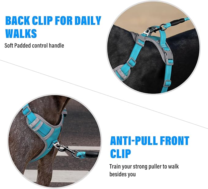 Plutus Pet No Pull Dog Harness, Release at Neck, Reflective Adjustable Dog Vest Harness, Easy Control Handle for Walking, for Small Medium Large Dogs, Cyan, XL