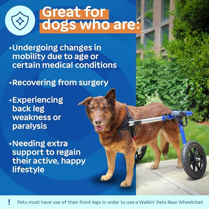 Dog Wheelchair - for Large Dogs 70-180 Pounds - Veterinarian Approved - Dog Wheelchair for Back Legs