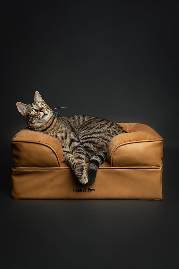 NOAH & PAW Small Dog Bed, 20x15x8 Inch, Cat Bed for Indoor Cats, Orthopedic Eggshell Memory Foam Infused with Cooling Gel, Waterproof Inner Cover Machine Washable (Faux Leather Collection)