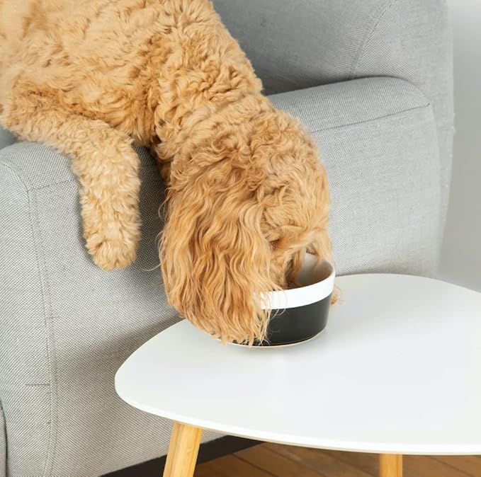 Waggo Dipper Ceramic Dog Bowl for Small and Large Breeds - Heavyweight and Durable Pet Food and Water Dish Crock, Dishwasher Safe, Modern (Black, Medium)