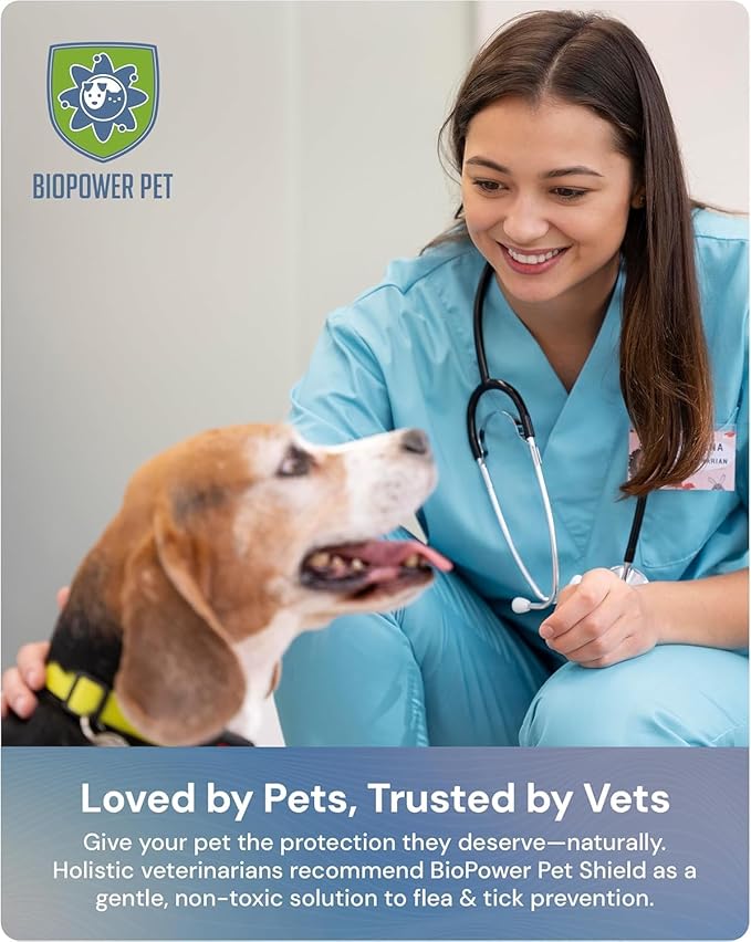 Natural Flea & Tick Repellent Collar Tag for Dogs & Cats – BioPower Pet Shield – Safe for Pets When Used as Directed – Lasts 1 Full Year - Regular Tag (2 Pack)