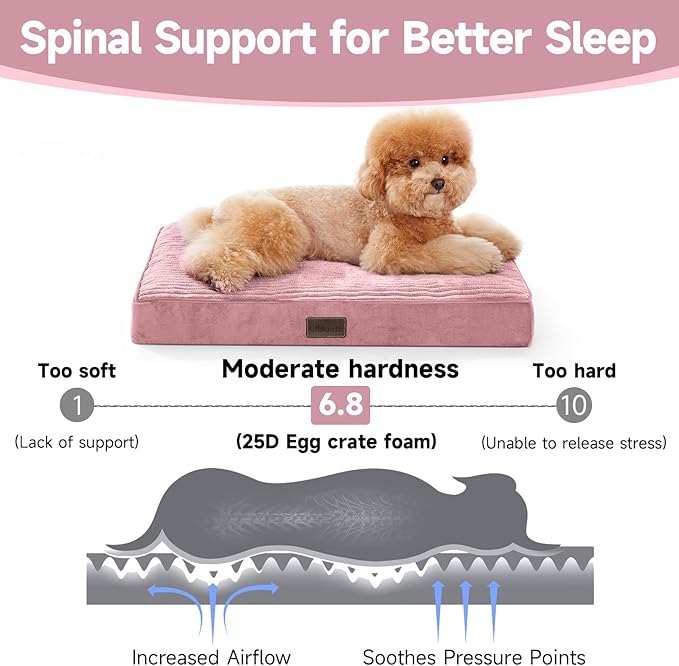OhGeni Orthopedic Waterproof & Machine Washable Dog Bed for Small Pets, Suitable for Crates, Cat Mat with 25D Egg Crate Foam, Non-Slip Bottom & Removable Cover, 24 Inches(Pink)