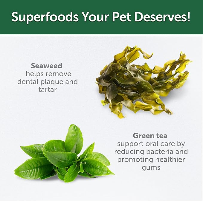 Nature's Protection Training Puppy Treats - Healthy, Grain Free Dog Treats for Small, Medium & Large Breed Dogs with Light Fur (Superior Care - Insects, 5,29 oz)