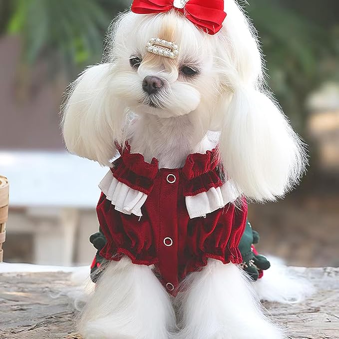MengYu Princess Dresses for Small Dog Lolita Clothes for Cat Velvet Costume Pretty Lace Outfits Fall Costumes (Red&Green, L)