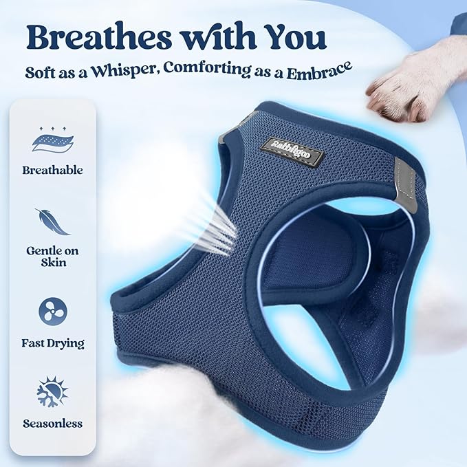 rabbitgoo Dog Harness Small Sized and Leash Set, Step in Soft Light Puppy Vest, Breathable Mesh Pet Harness, Reflective for Safe Outdoor Walking, Navy Blue S