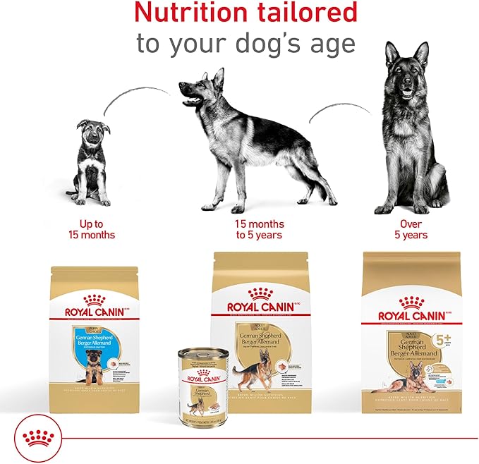 Royal Canin Breed Health Nutrition German Shepherd Adult Loaf in Sauce Dog Food, 13.5 oz (Pack of 12)
