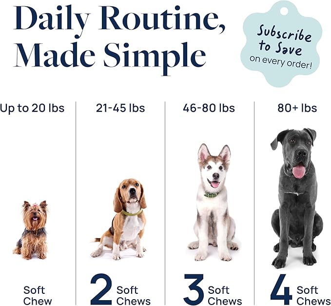 Veterinary Formula Anal Gland Support for Dogs – Vet-Formulated No Scoot Chews with Pumpkin, Ginger, Agave Inulin & Probiotics – Supports Scooting, Stool Quality & Digestive Health, 60 Soft Chews