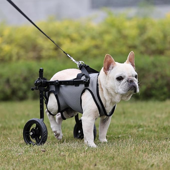 Dog Wheelchair for Back Legs, Light Weight Dog Wheelchair Cart with Disabled Hind Legs Walking, Adjustable