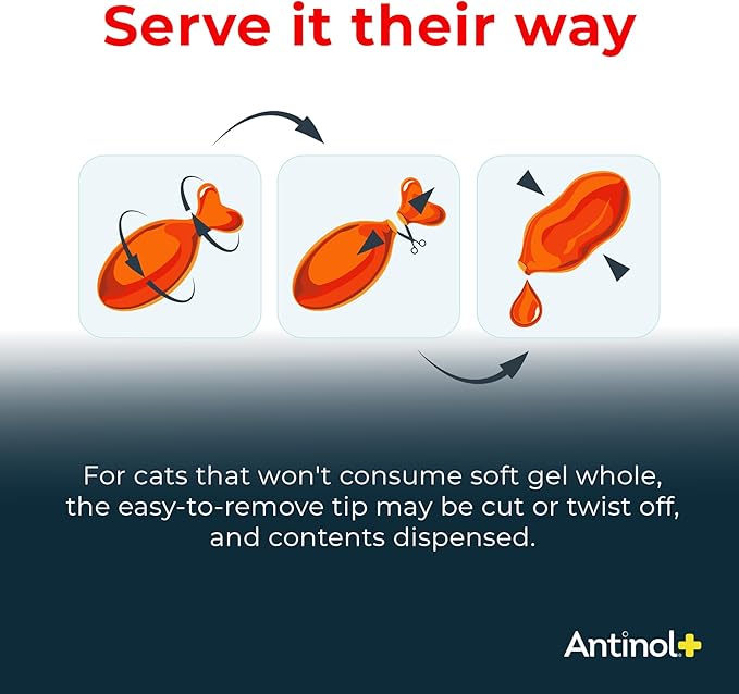 Plus, Mobility, Hip, and Joint Supplement for Cats, Green-Lipped Mussels and Krill Oil - Cat Joint Supplement, 60 Soft Gels