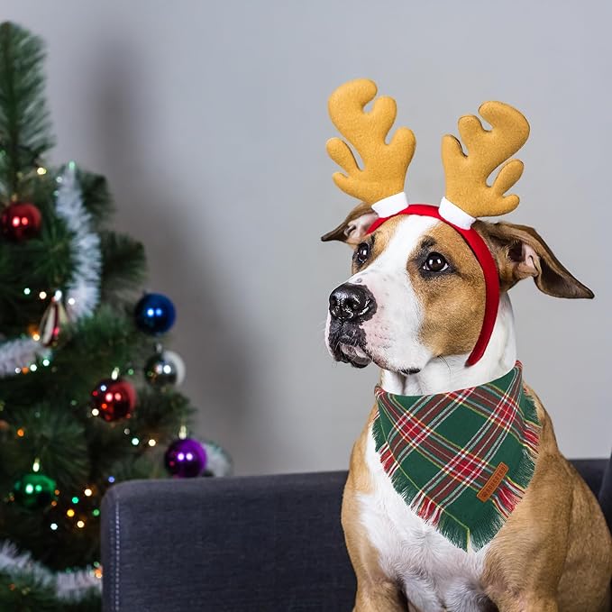 ADOGGYGO Christmas Dog Bandanas with Tassels, Stylish Red Green Plaid Dog Scarf Bib, Multiple Sizes, Pet Christmas Bandanas for Medium Large Dogs (Large)