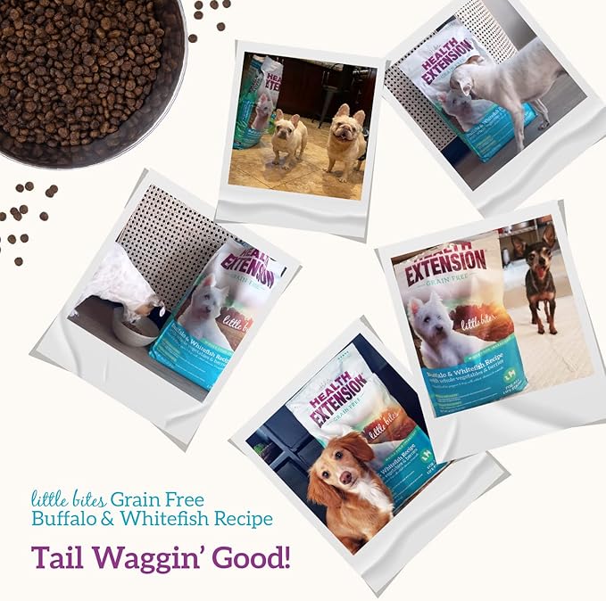 Health Extension Grain Free Buffalo & Whitefish Little Bites (1 lb / 0.45 kg) - Small Kibble Formula with Omega 3 & Whole Foods for Teacups, Toys & Miniature Dogs