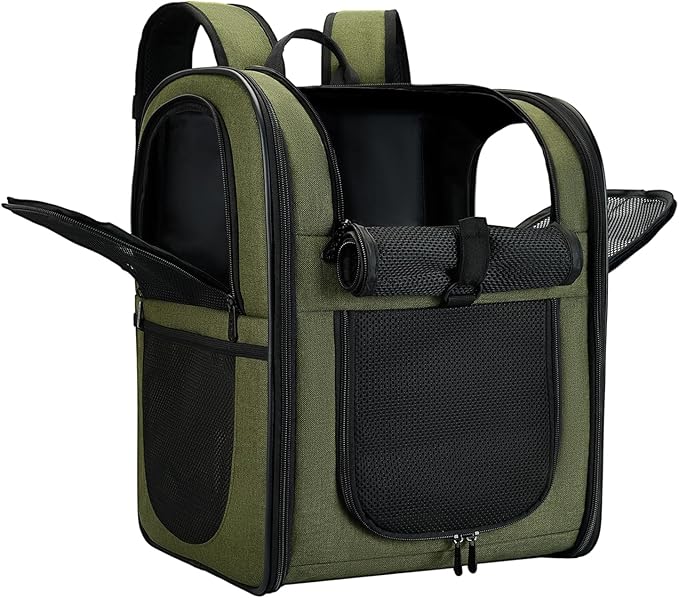 Apollo Walker Dog & Cat Carrier Backpack for 4-15lb Pets - Ventilated Safe Design with Padded Back Support, Breathable Mesh Pet Backpack for Hiking, Travel, Outdoor (Green)