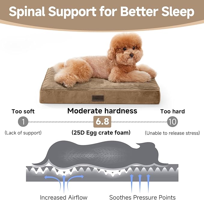 OhGeni Orthopedic Waterproof & Machine Washable Dog Bed for Small Pets, Suitable for Crates, Cat Mat with 25D Egg Crate Foam, Non-Slip Bottom & Removable Cover, 24 Inches(Coffee)