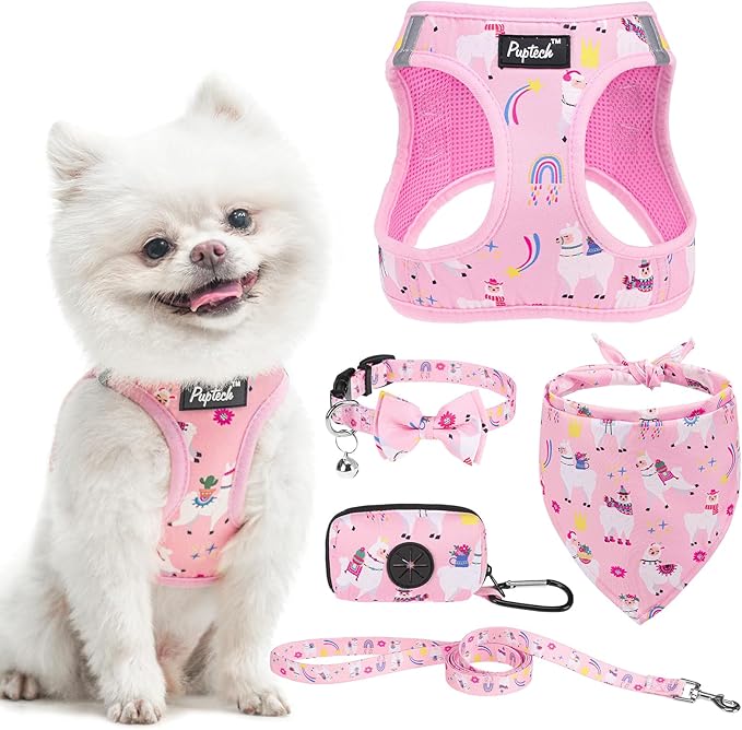 PUPTECK Adjustable Dog Harness Collar and Leash Set, Step in No Pull Pet Harness for Small Medium Dogs Puppy Cats Outdoor Walking, Soft Mesh Padded Reflective Vest Harnesses, Light Pink Alpaca, XXS