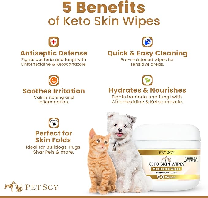 Petscy Travel Keto Skin Wipes - Antiseptic Dog Wipes for Paws, Ears, Facial Folds, Underarms & Other Sensitive Areas for Dogs & Cats – Aloe-Infused, Non-Greasy Formula - 50 Wipes