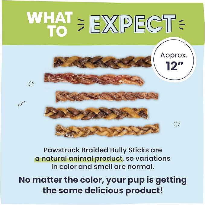 Pawstruck Natural 12” Braided Bully Sticks for Dogs - Tough, Long-Lasting, Rawhide-Free, Low Odor, Healthy Single Ingredient Chew Treat for Aggressive Chewers - 10 Count - Packaging May Vary