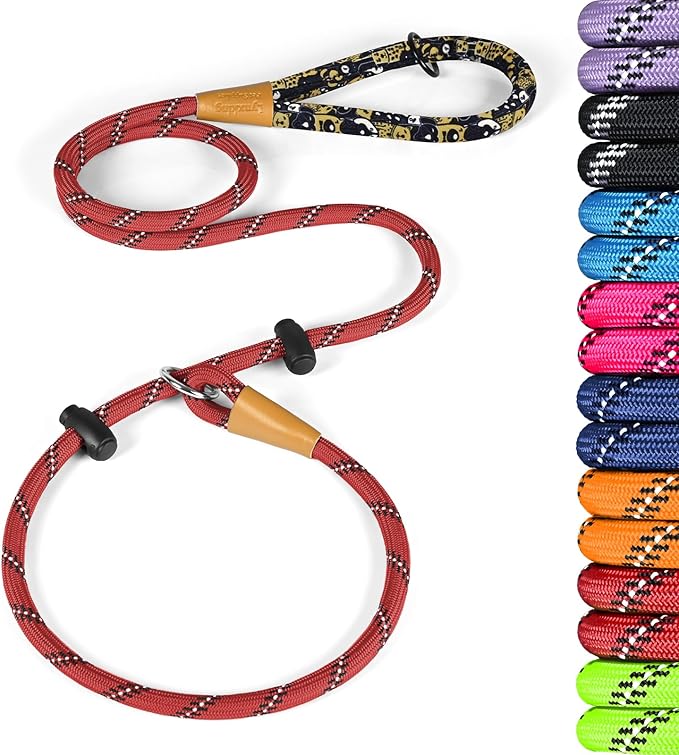 lynxking Slip Lead Dog Leash Reflective, Heavy Duty Comfortable Strong Rope for Large Medium Small Dogs No Pull Pet Training (Red, Small 3/8in x 6ft-Slip Lead)